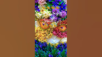 وأوحى ربك إلى النحل 🐝#قرآن_كريم #سورة_النحل