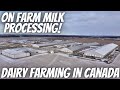 Walker farms tour 1700 cows bio digester milk processing plant