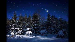 Your Christmas Night Sky Revealed 12 ‘Christmas Stars’ And What To Point screenshot 4