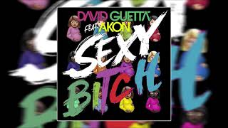 Drake x David Guetta - Way 2 Sexy vs Sexy Bitch (Mr. Fabz Mashup)
