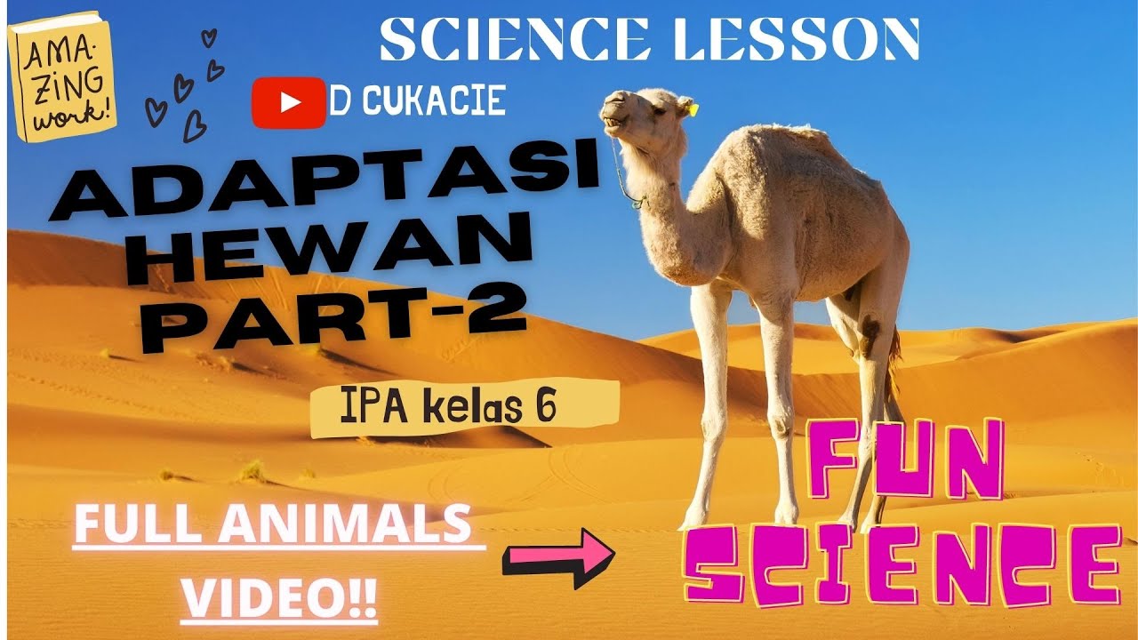 The world is full of animals. Virry Safari. Приложение Virry. Сафари приложение. Safari PS
