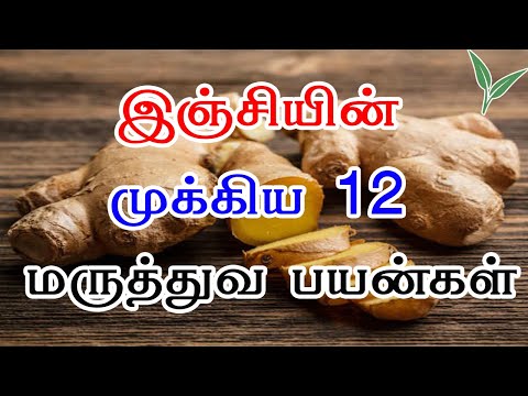 இஞ்சியின் 20 முக்கிய மருத்துவ பயன்கள் | Ginger 20 Uses  In Tamil