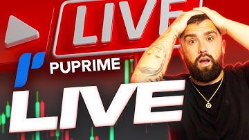 PU Prime Tutorial : Create Your Account LIVE in Under 5 Minutes!