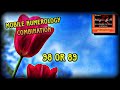 Mobile number numerology of combination 98 or 89  sumaiiya munerah kousar numerology