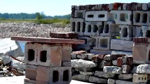 THE RAT RACE   In Situ Animation Project