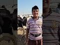 لهجة أهل بهرز ديالى 