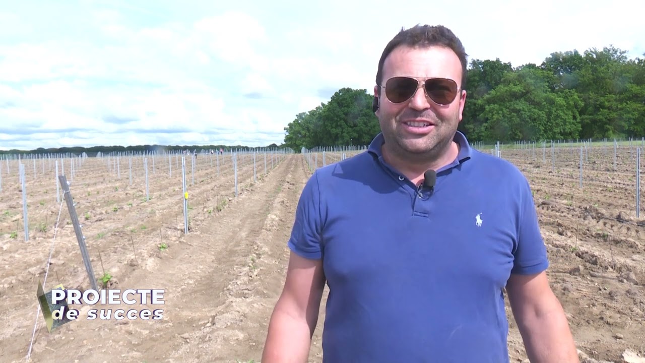 VIDEO Înființarea plantației de viță de vie - În cât timp se amortizează o investiție de 500.000 EURO 1 VIDEO Înființarea plantației de viță de vie - În cât timp se amortizează o investiție de 500.000 EURO YouTube player