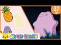 【ポケモン公式】37分メタモンいっぱいコレクション－ポケモン Kids TV【こどものうた】