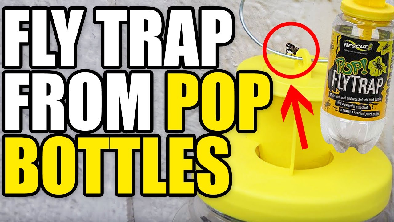 Rescue Outdoor POP! Fly Trap- Fly Contraol