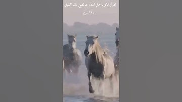 الشيخ خالد الجليل  سورة الشرح Sheikh Khaled Al Jalil   Surah Al Sharh 1080p