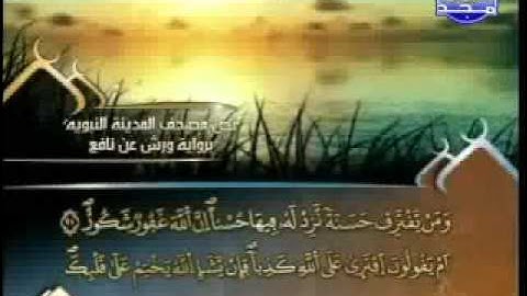سورة الشوري الشيخ العيون الكوشي