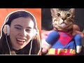 TRY NOT TO LAUGH CHALLENGE - FUNNY CATS FAILS COMPILATION