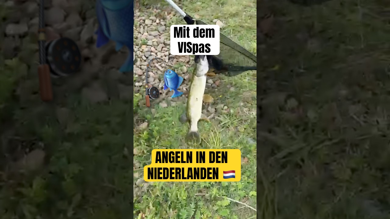 Vispas in Holland 🇳🇱 – warum jeder Deutsche hier angelt 🎣 ??? 