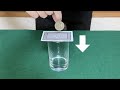 コインとカードマジック3ネタ種明かし Coin through card magic tricks with tutorials.