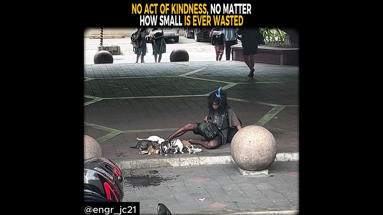 I really hope this video goes VIRAL!