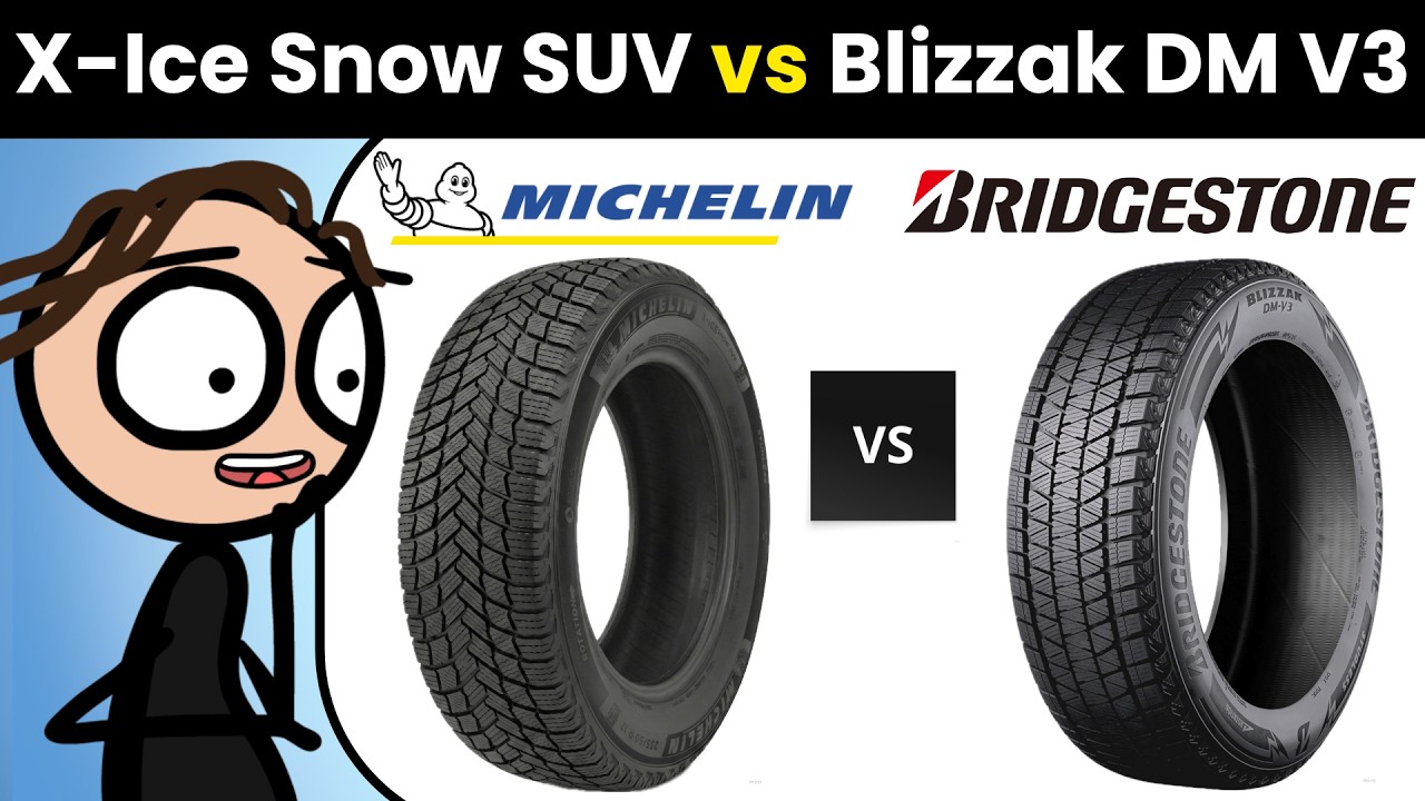 BS BRIDGESTONE BLIZZAK DM-3 275/70R16 16インチ スタッドレス 4本 20 