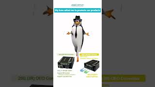 AI NETWORK Series - AI Media Converter | AI Smart Management Fiber Switch #aisail #networking