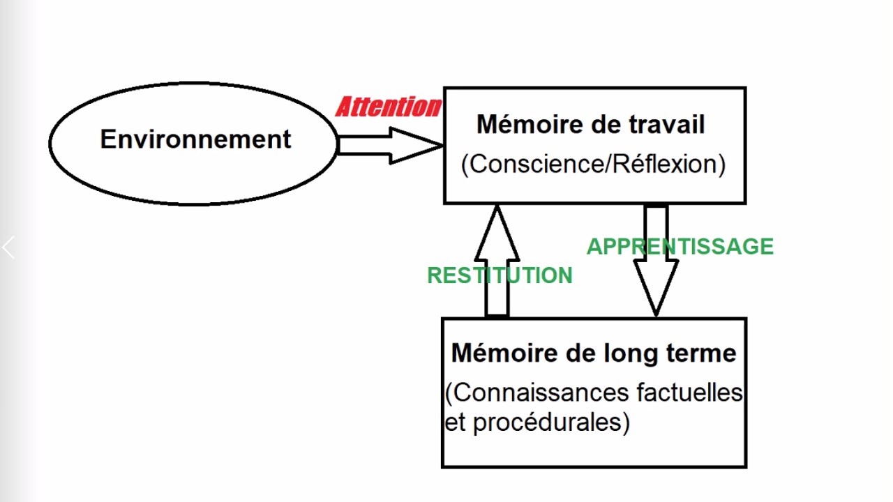 L'apprentissage, la pratique YouTube