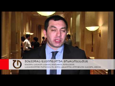 ზაორალეკის შეფასებით, საქართველოში ოპოზიცია და მედია სტაბილურ პოლიტიკურ გარემოს ქმნიან