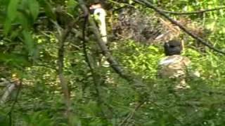 Stryder Buddyz - Paintball Valley @ Taman Pertanian Malaysia screenshot 5