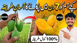 How To Ripen Mangoes At Home Faster In 7 Days! 🥭 (100% Works) Profile