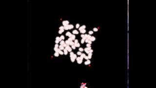 C# Touhou clone - polygon VS point collision detection