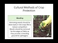 Higher Biology - 3.3 Crop Protection