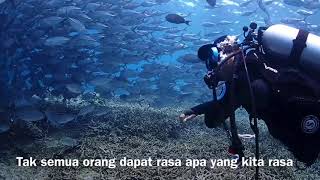 Download Lagu Sipadan Dive 2020 with School Of Jack Fish #Sipadan #Mabul #Kapalai MP3