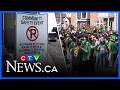 Waterloo prepares for St. Paddy’s street party