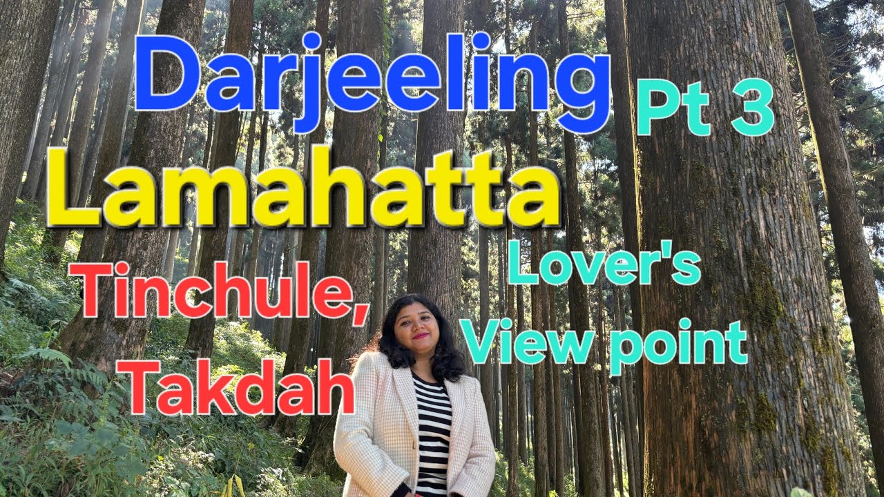 DARJEELING II Day Trip Lamahatta Park ll Lover's View Point ll Tinchule Takdah ll Offbeat Home Stay 