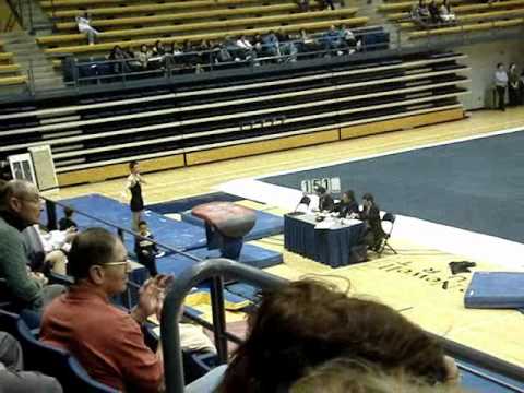 Men's Gymnastics: Iowa Hawkeyes on Vault