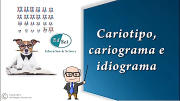 ¿Cuál es la diferencia entre Cariograma y cariotipo?