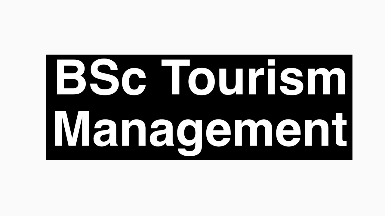 bsc tourism and travel management