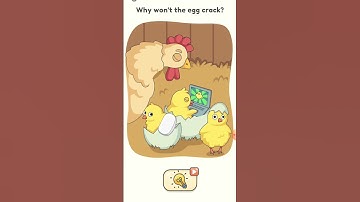 Dop 5 Level 17 |Why won