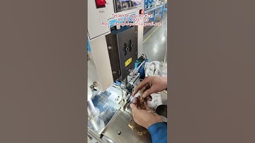 Silver contact riveting equipment production line manufacturer price in Senegal Seychelles Sierra