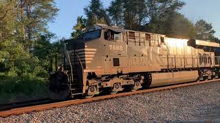 A Short Norfolk Southern Intermodal/Bare Table Train