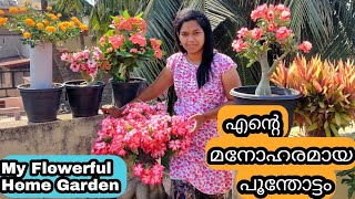 Home Garden Tour | Flowering Tips | മനോഹരമായ ടെറസ് പൂന്തോട്ടം | Summer Flowering Plants