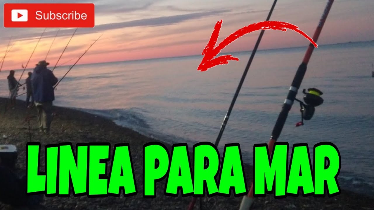 gemelo Precursor oficial ✓ cómo armar LINEA de pesca para MAR➡️ linea de pesca básica - YouTube
