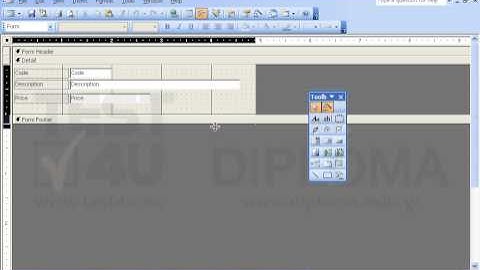 Locate the Detail section of the ProductForm form and insert a new text box without control...
