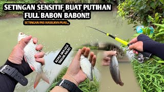 SETINGAN SENSITIF UNTUK TARGET PUTIHAN TAWES!! Mancing wader dan tawes pakai teknik kumbul