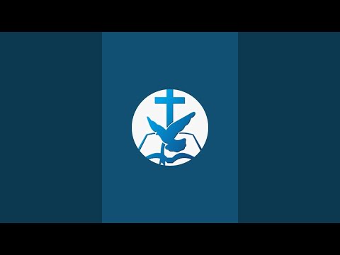 Previzualizare video