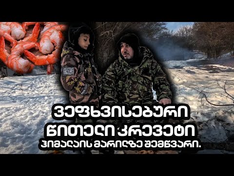 ვეფხვისებური წითელი კრევეტი, ჰიმალაის მარილზე შემწვარი. Red tiger prawns grilled on Himalayan salt.