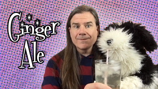 Homemade Ginger Ale: 3 Ingredient Recipes Details