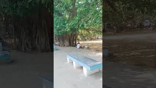 Nature vibe #beautiful #natural #nature #railway #ralwaystation #ytshorts #shortvideo #plac