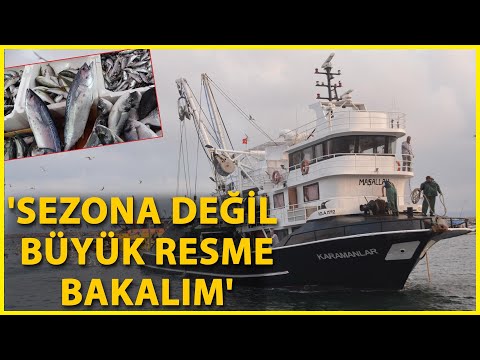 Prof. Dr. Sarı: Deniz Bitti, Rotayı Değiştirmemiz Lazım