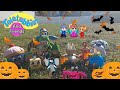 Youtube Thumbnail title