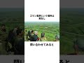 前世の記憶で未解決事件を解決した少年#雑学 #shorts