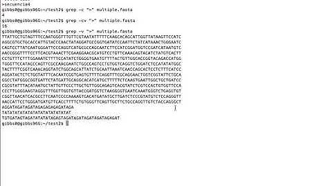 4. Unix Basico: el comando grep