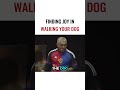 FINDING JOY IN WALKING YOUR DOG