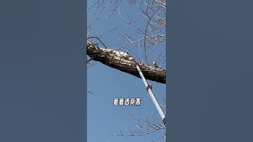 Part two hundred ninety one 291 Handsaw388 #handsaw#hardware#tools#viralvideo#foryou